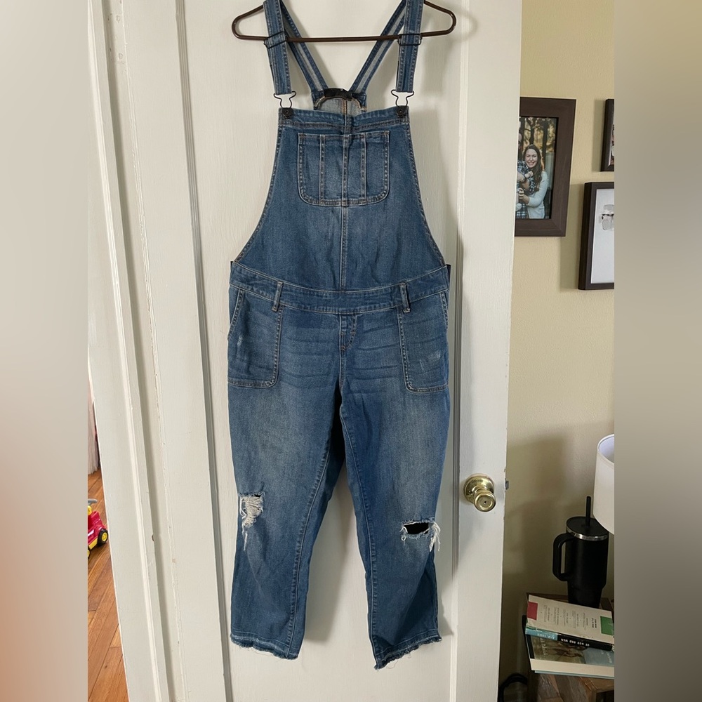 Indigo Blue Maternity Denim Overalls